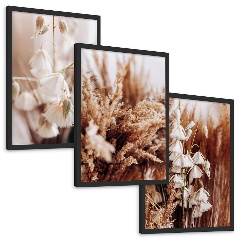 Zestaw obrazy w ramie, plakaty - kwiaty, trawa, pampasowa - rama czarna