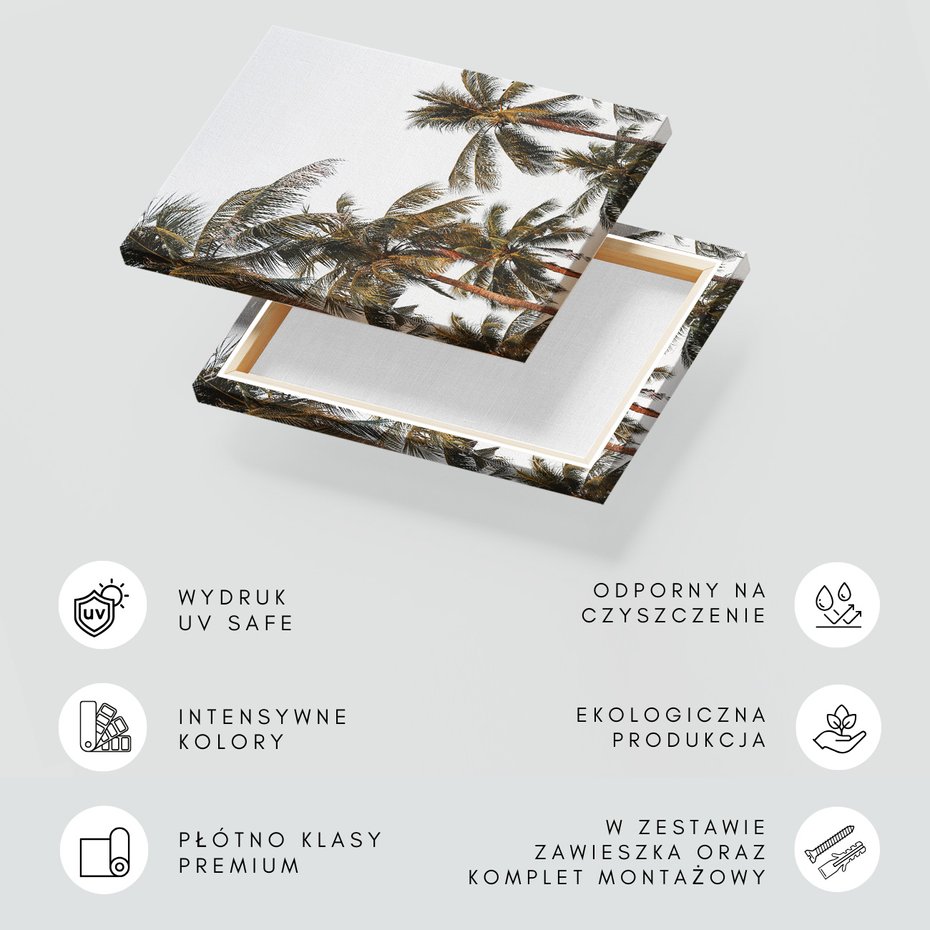 Obraz na płótnie - palmy, tropiki, liście