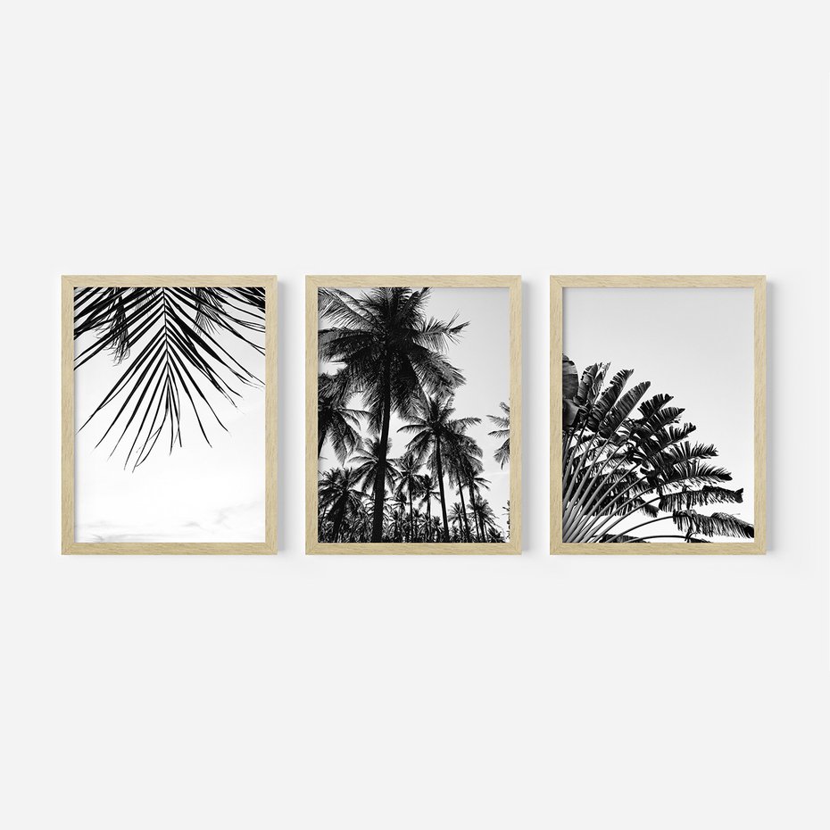 Zestaw obrazy w ramie, plakaty - palmy, liście, tropikalne - rama drewno