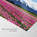 Fototapeta - kwiaty, tulipany, góry