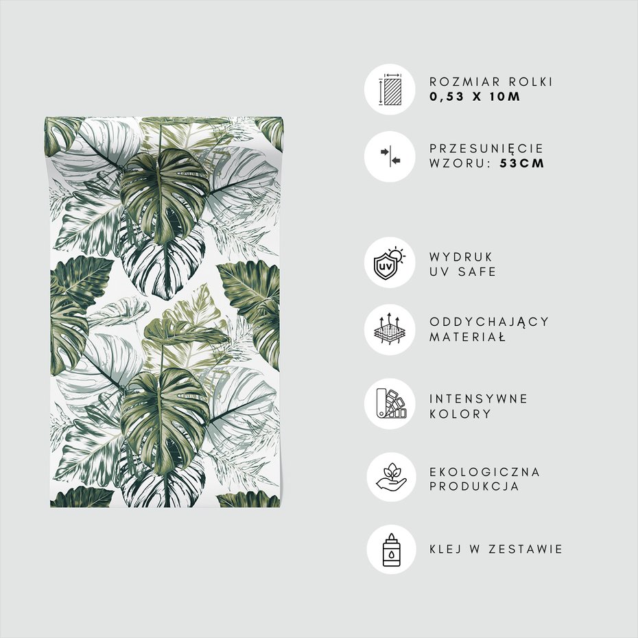 Tapeta - liście, monstera, rośliny