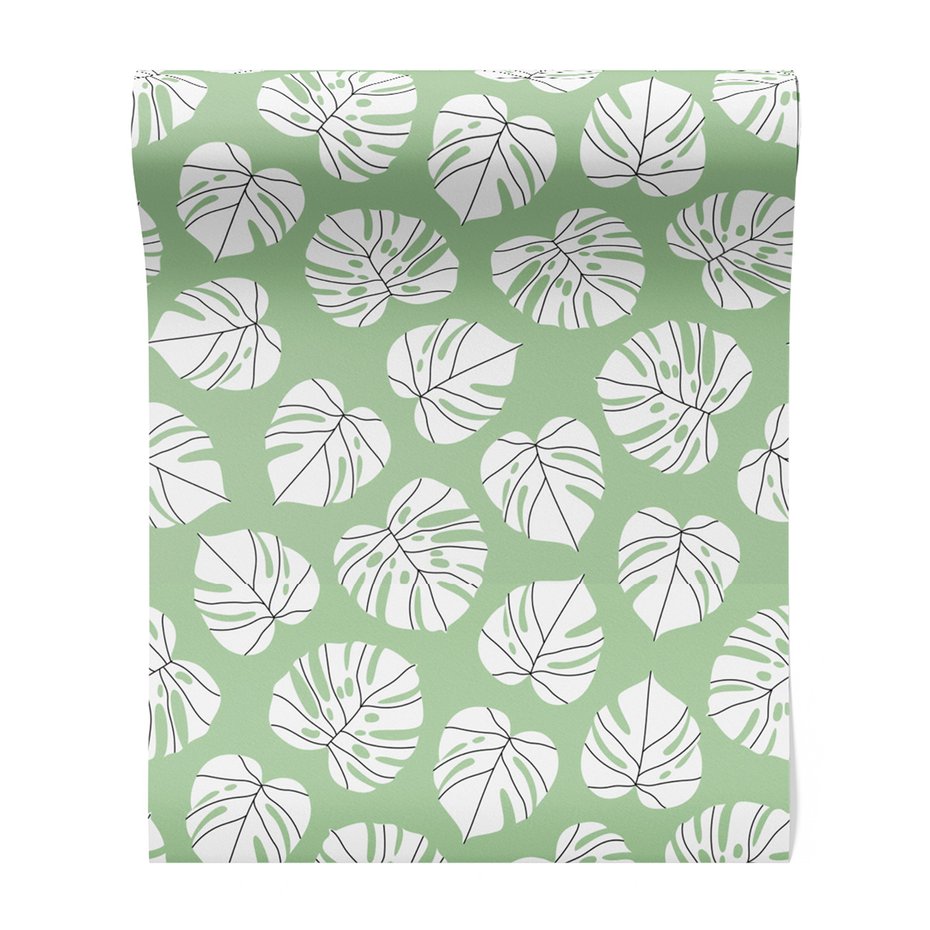 Tapeta - liście, monstera, natura