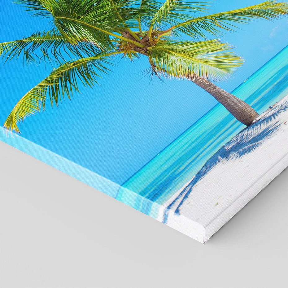 Obraz na płótnie - palma, plaża, morze