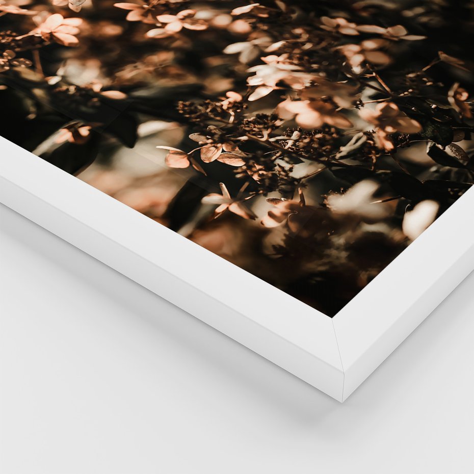 Zestaw obrazy w ramie, plakaty - kwiaty, jesień, dekoracja - rama biała