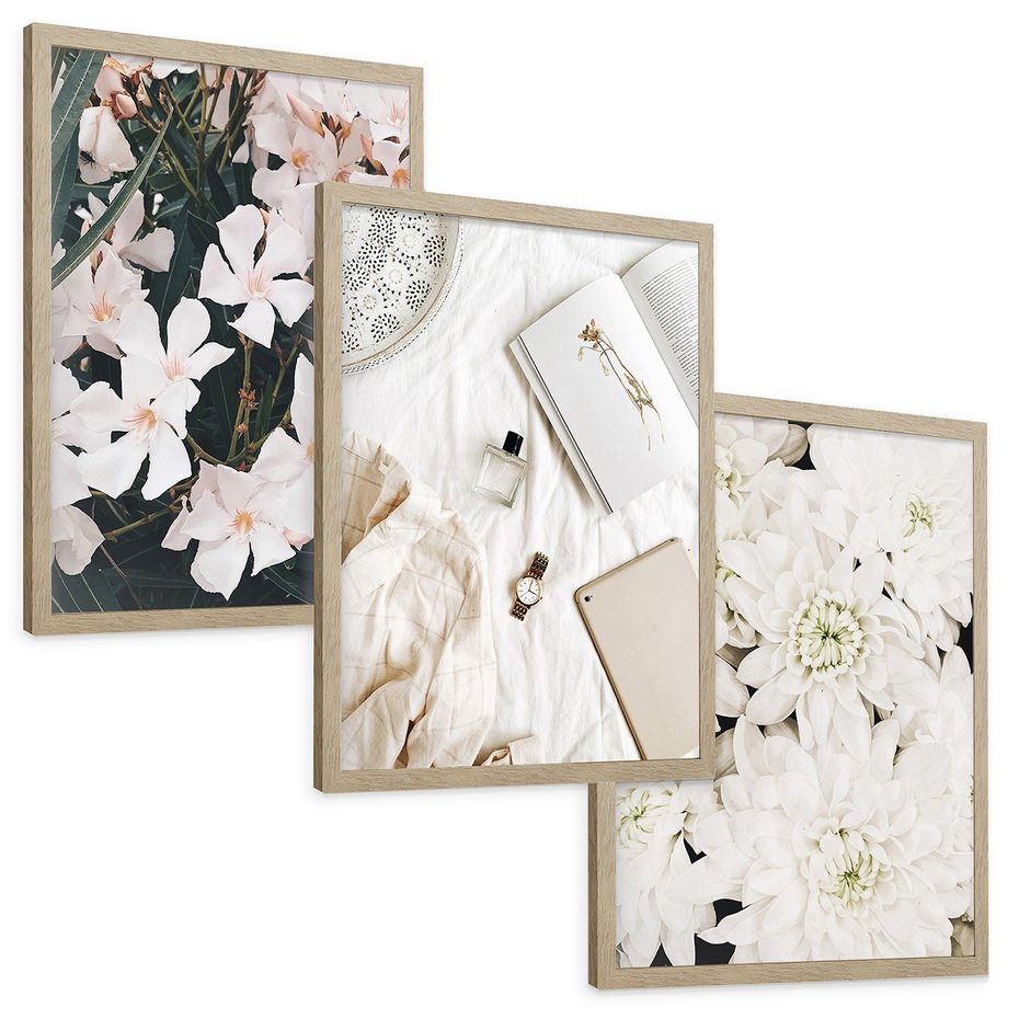 Zestaw obrazy w ramie, plakaty - kwiaty, biały, roślina - rama drewno