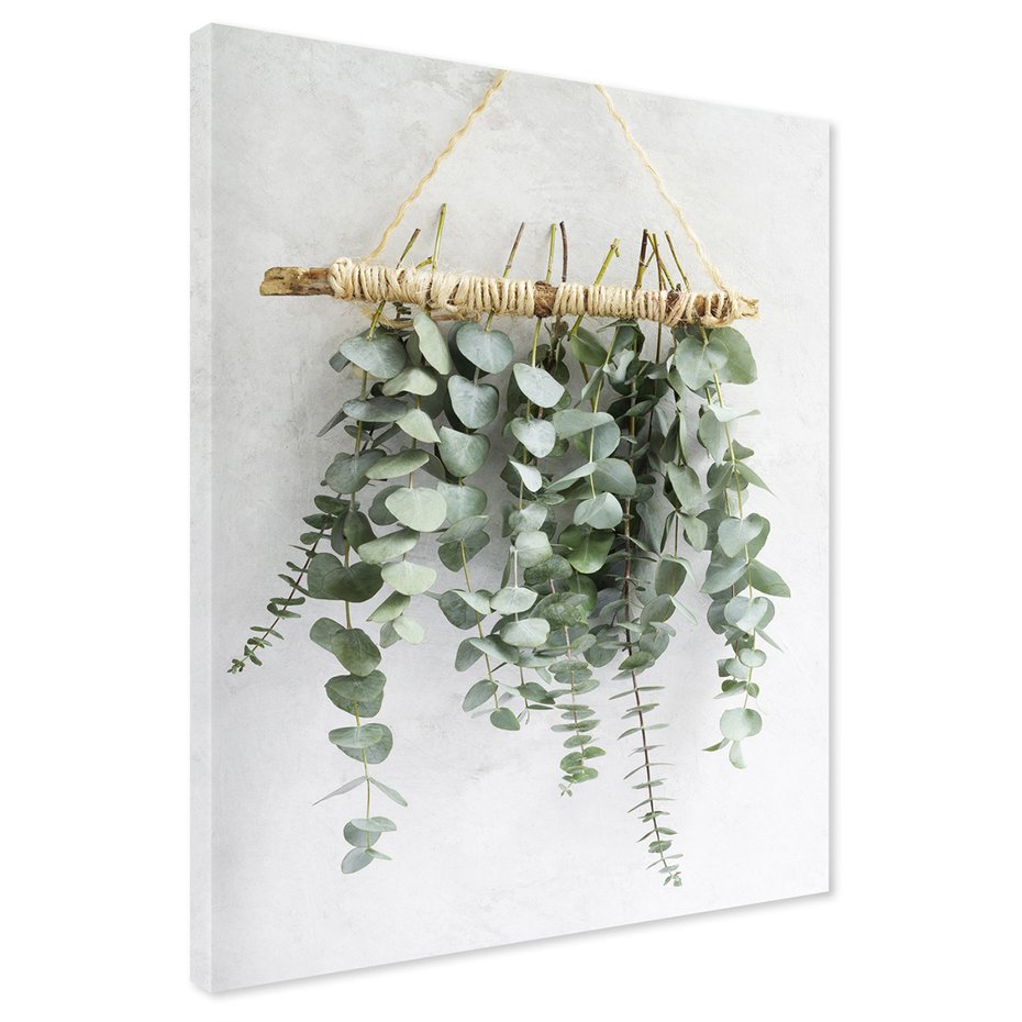 Obraz na płótnie - eukaliptus, dekoracja, liście