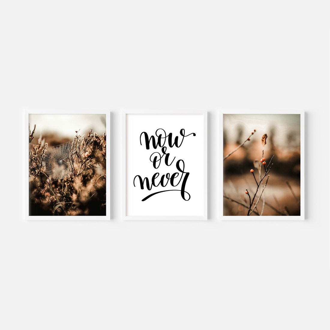 Zestaw obrazy w ramie, plakaty - przyroda, pajęczyna, owoce - rama biała