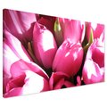 Obraz na płótnie - tulipany, kwiaty, różowe