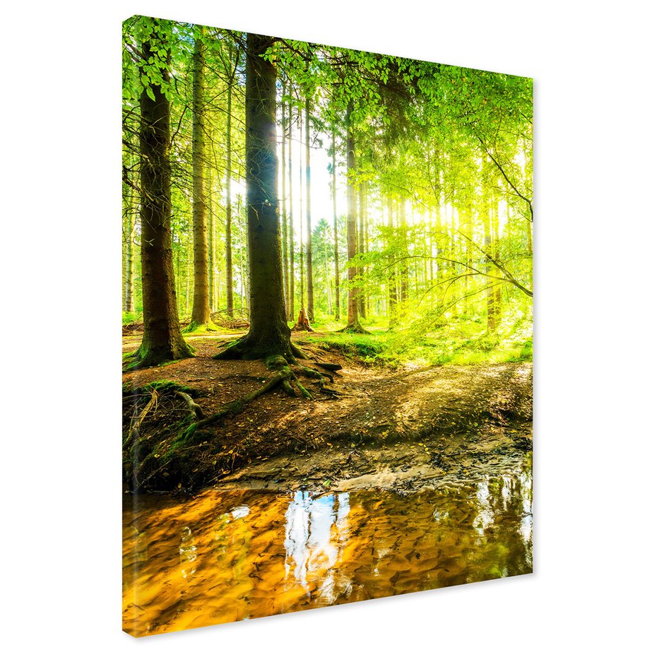 Obraz na płótnie - las, drzewa, przyroda
