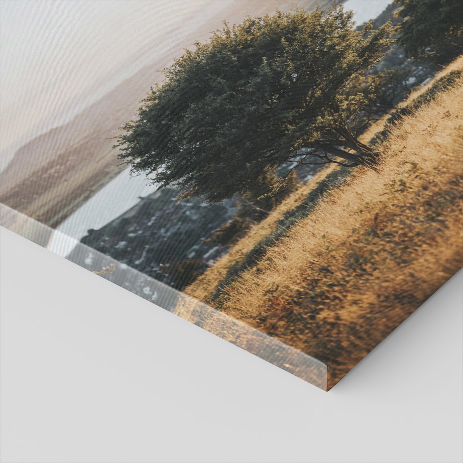 Obraz na płótnie - drzewo, krajobraz, natura