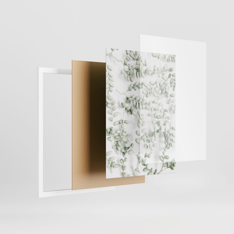 Zestaw obrazy w ramie, plakaty - liście, roślina, gałązka - rama biała