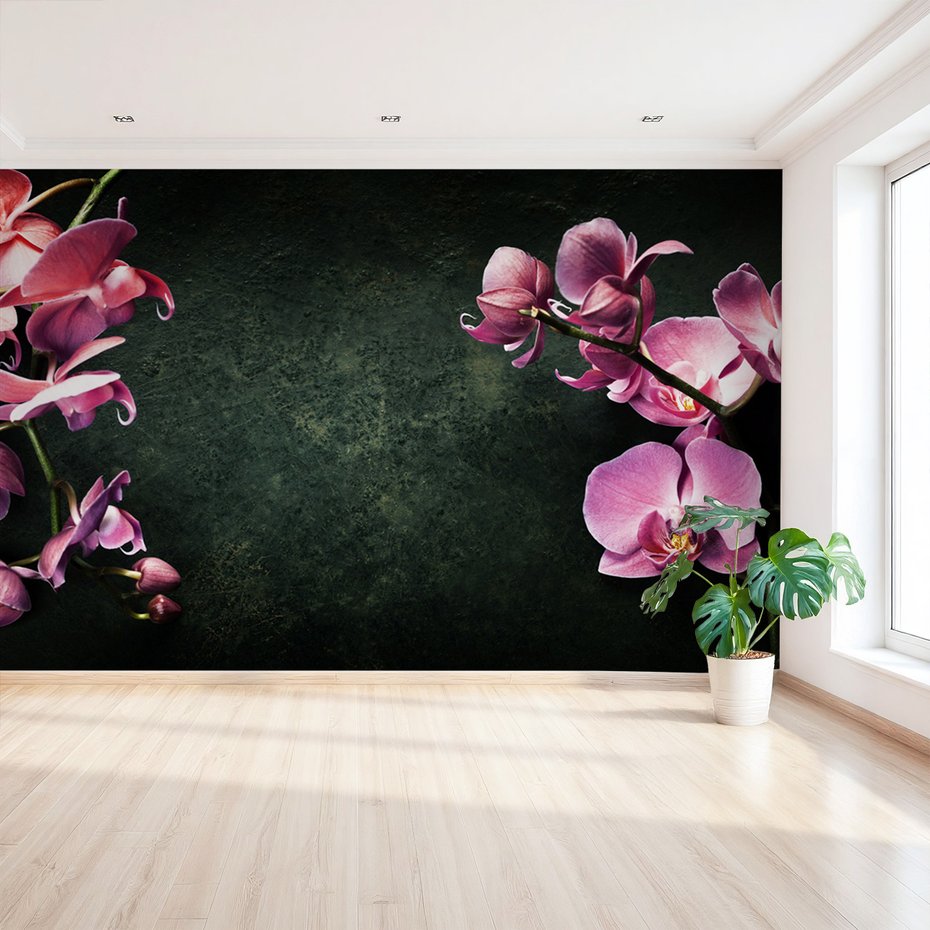 Fototapeta - kwiaty, orchidee, tło