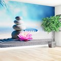 Fototapeta - kamienie, kwiat, zen