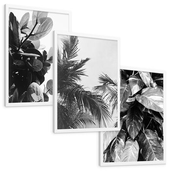 Zestaw obrazy w ramie, plakaty - liście, rośliny, natura - rama biała