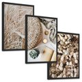Zestaw obrazy w ramie, plakaty - roślina, beżowy, dekoracja - rama czarna