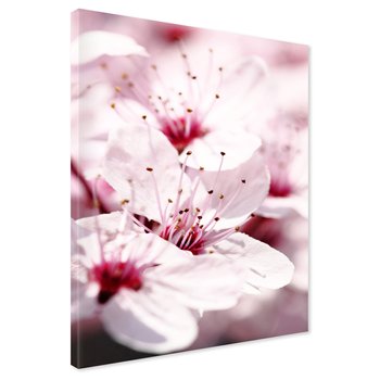 Obraz na płótnie - kwiat, wiosna, delikatność