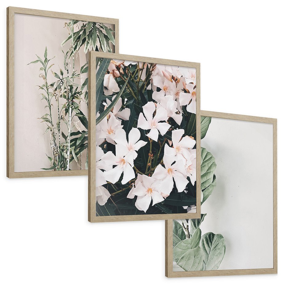 Zestaw obrazy w ramie, plakaty - rośliny, kwiaty, liście - rama drewno