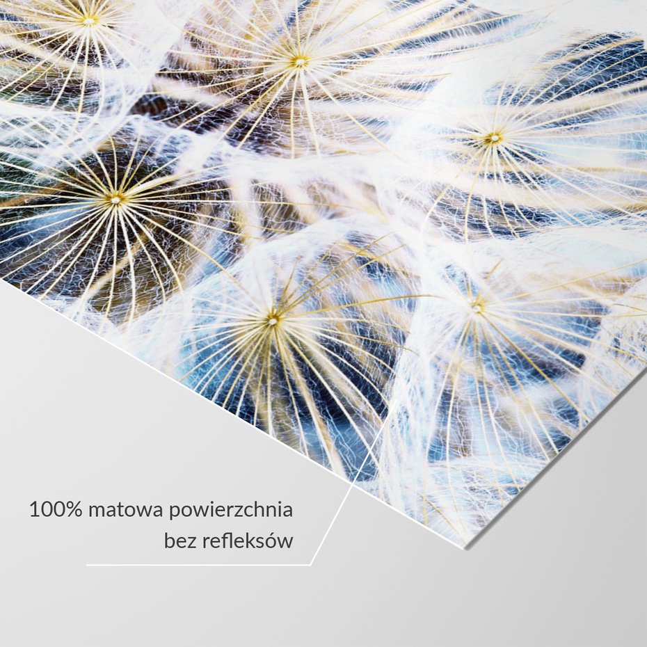 Fototapeta - dmuchawiec, natura, abstrakcja