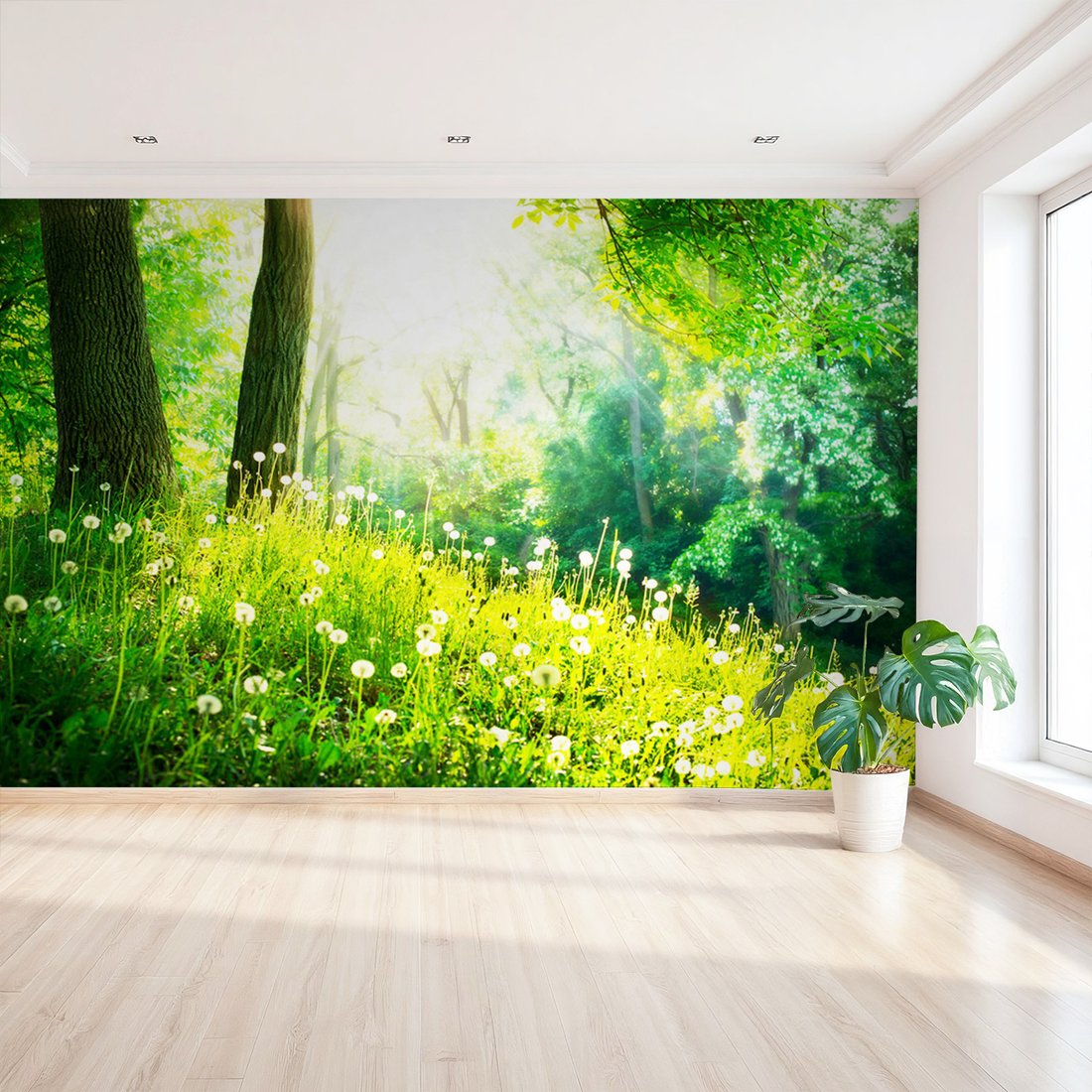 Fototapeta - las, wiosna, natura