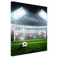 Obraz na płótnie - piłka, nożna, bramka