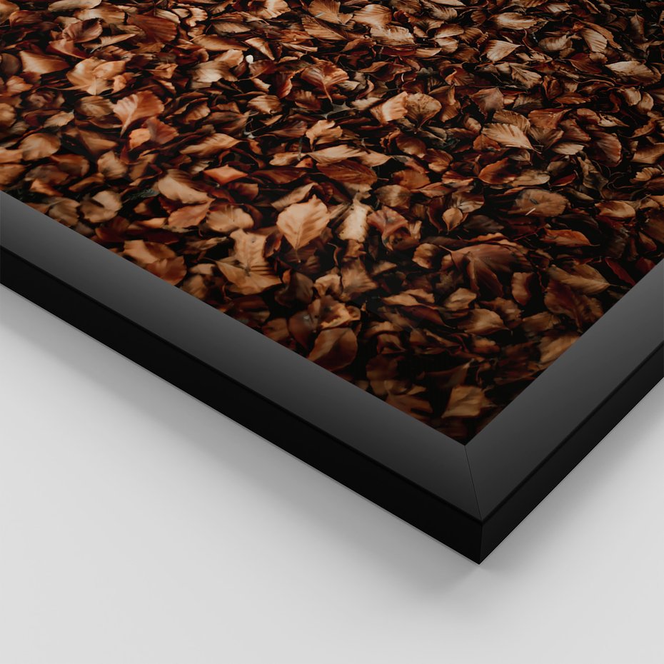 Zestaw obrazy w ramie, plakaty - liście, drzewa, jesień - rama czarna