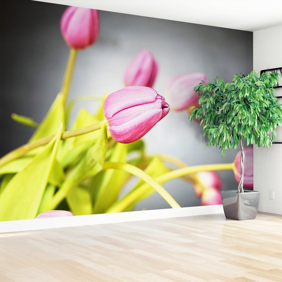 Fototapeta - tulipany, kwiaty, różowe