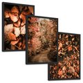 Zestaw obrazy w ramie, plakaty - liście,jesień,drzewa - rama czarna