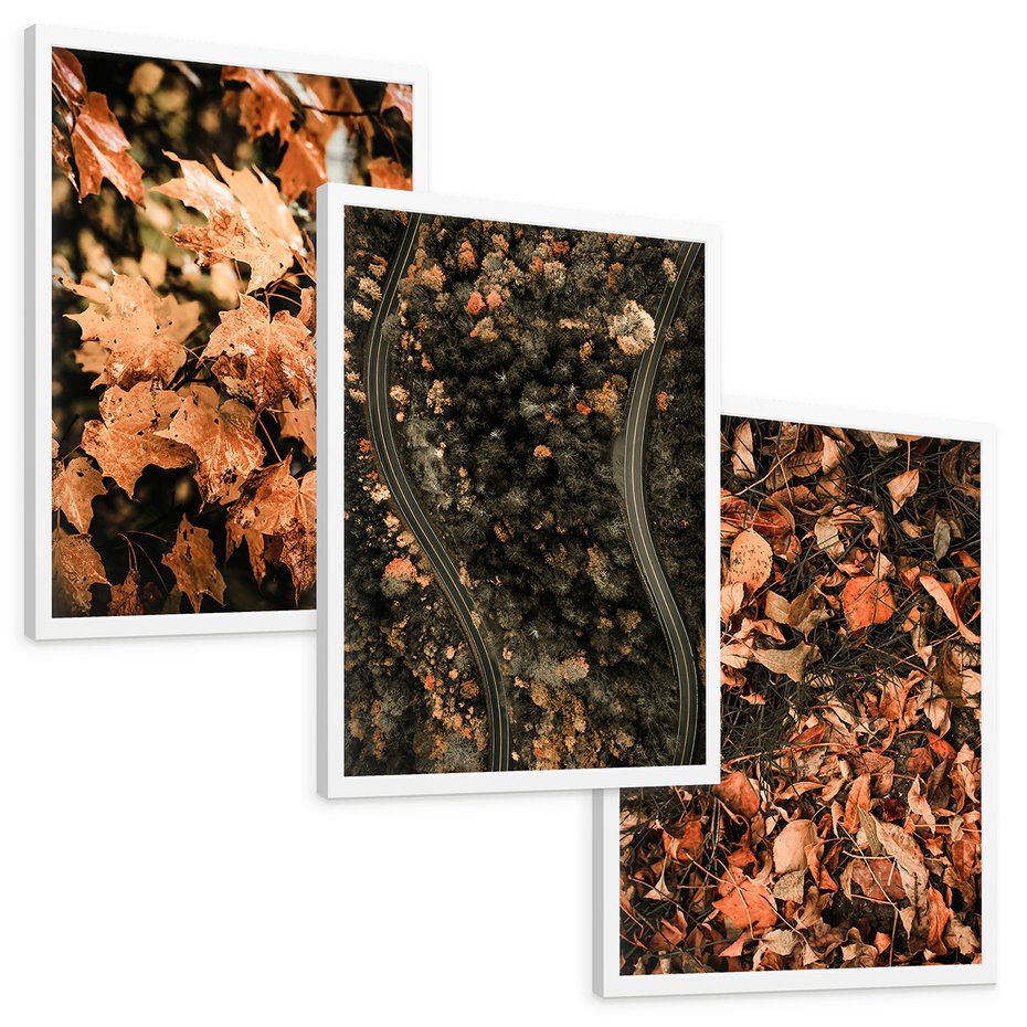 Zestaw obrazy w ramie, plakaty - liście, jesień, droga - rama biała