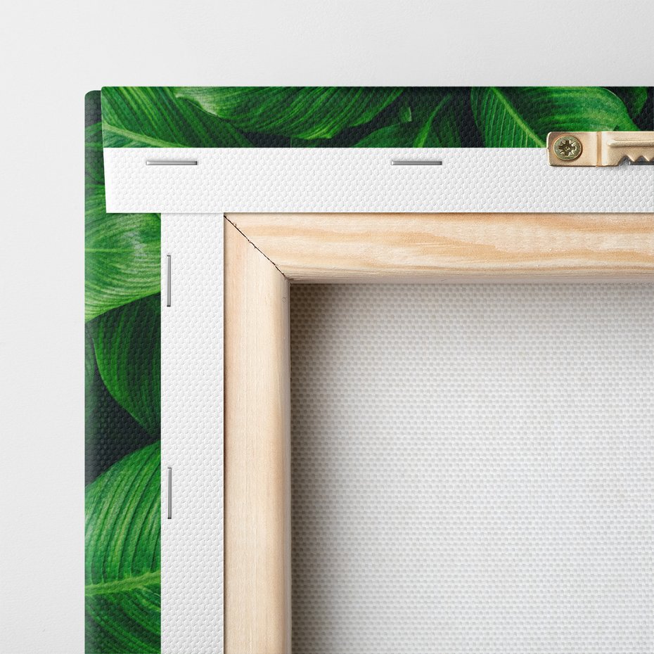 Obraz na płótnie - liście, zieleń, natura