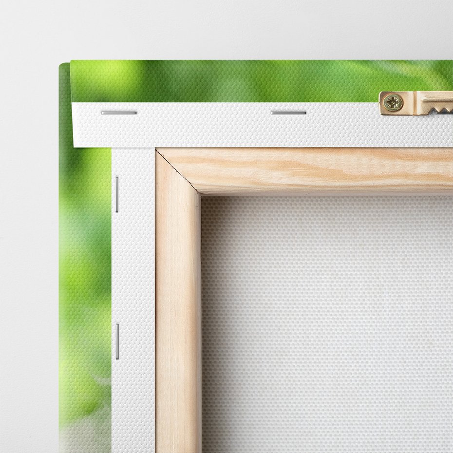 Obraz na płótnie - bambus, kamienie, woda