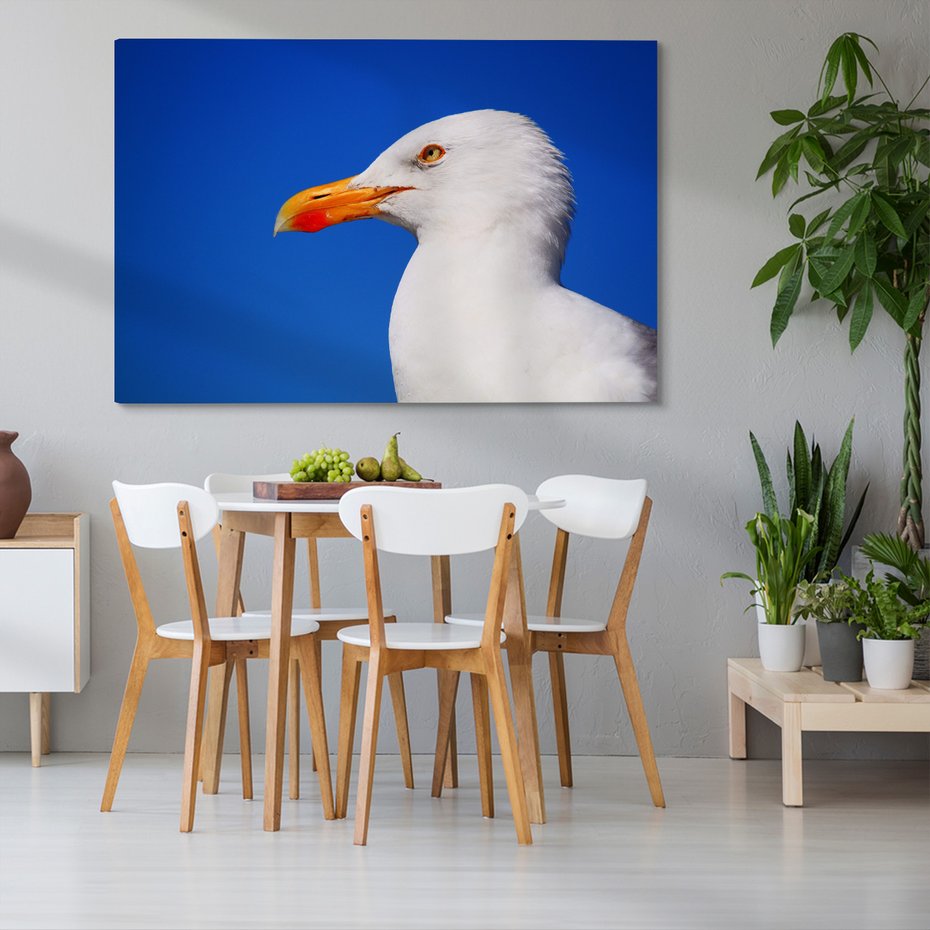 Obraz na płótnie - mewa, ptak, niebo