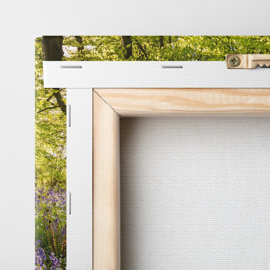 Obraz na płótnie - las, ścieżka, kwiaty