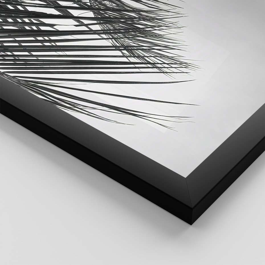 Zestaw obrazy w ramie, plakaty - liście,roślina,czarny - rama czarna