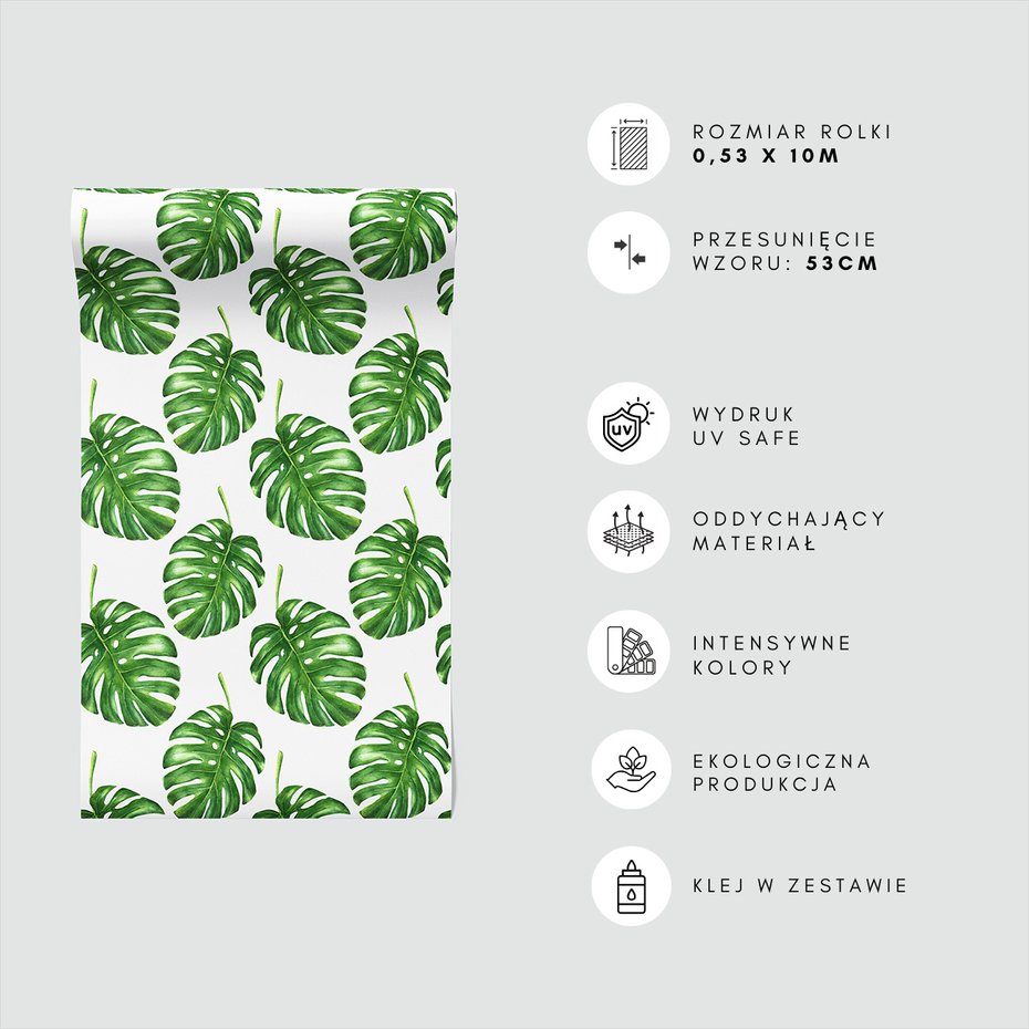 Tapeta - liście, monstera, wzór