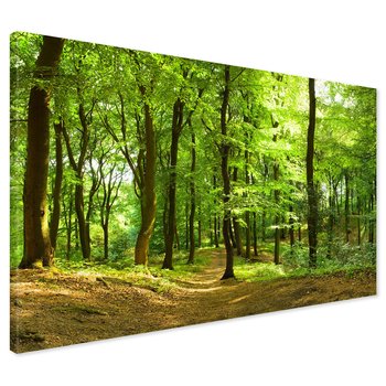Obraz na płótnie - las, drzewa, natura