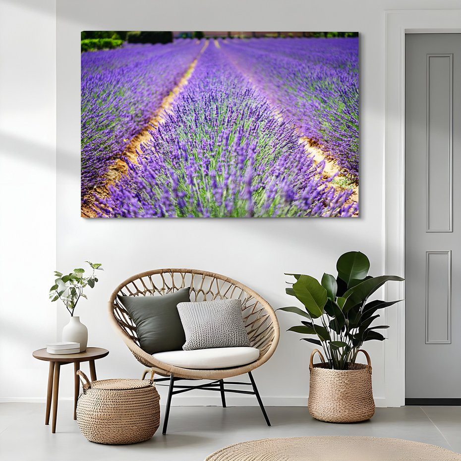 Obraz na płótnie - lawenda, pole, kwiaty