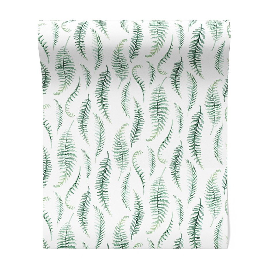 Tapeta - paproć, liście, natura