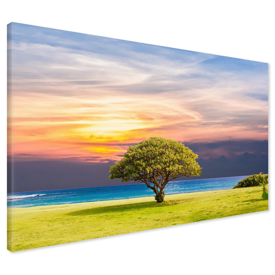 Obraz na płótnie - plaża, morze, drzewo
