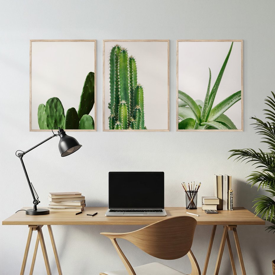 Zestaw obrazy w ramie, plakaty - kaktus, roślina, aloes - rama drewno