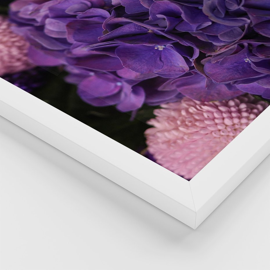Zestaw obrazy w ramie, plakaty - kwiaty, kamienie, fioletowy - rama biała