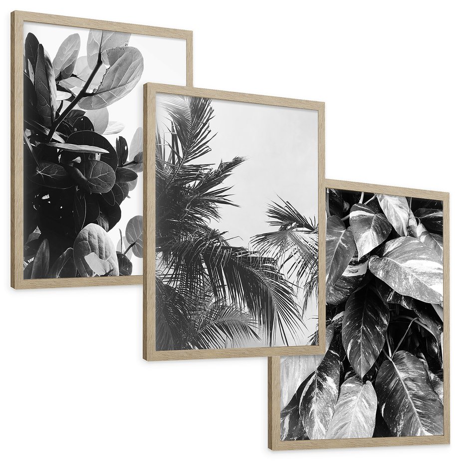 Zestaw obrazy w ramie, plakaty - liście, rośliny, natura - rama drewno