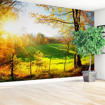 Fototapeta - jesień, krajobraz, drzewa