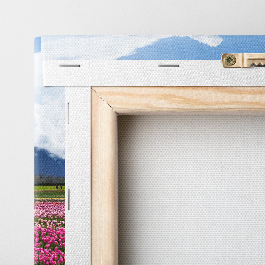 Obraz na płótnie - tulipany, kwiaty, góry