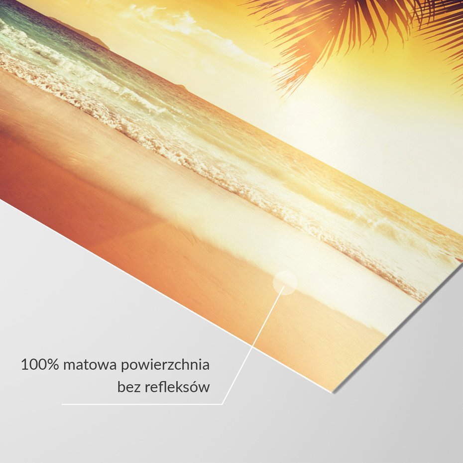 Fototapeta - plaża, morze, palmy