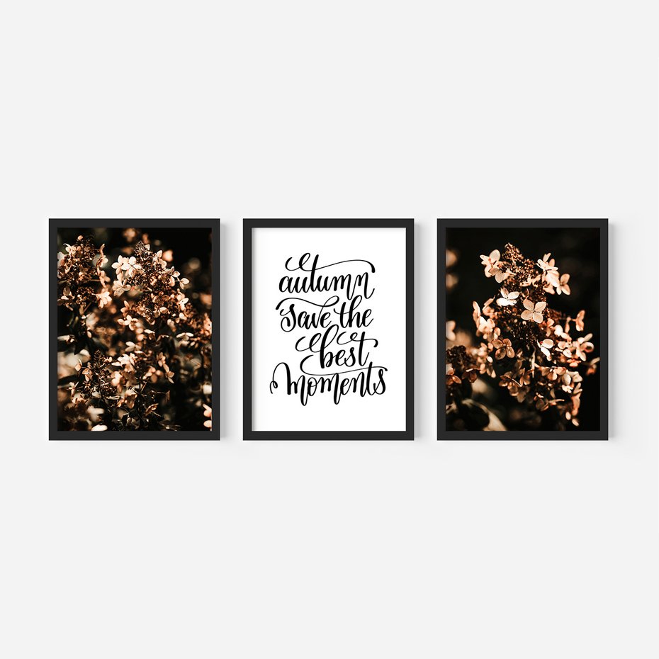 Zestaw obrazy w ramie, plakaty - kwiaty, jesień, dekoracja - rama czarna