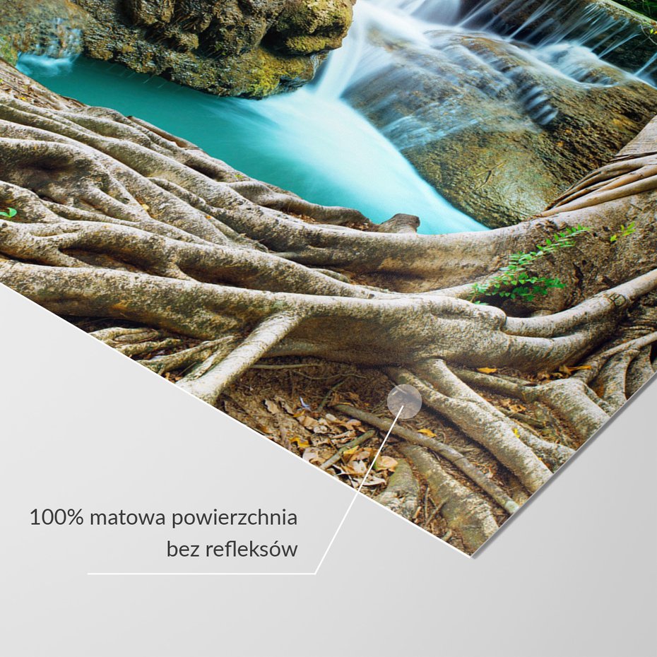 Fototapeta - wodospad, natura, drzewo