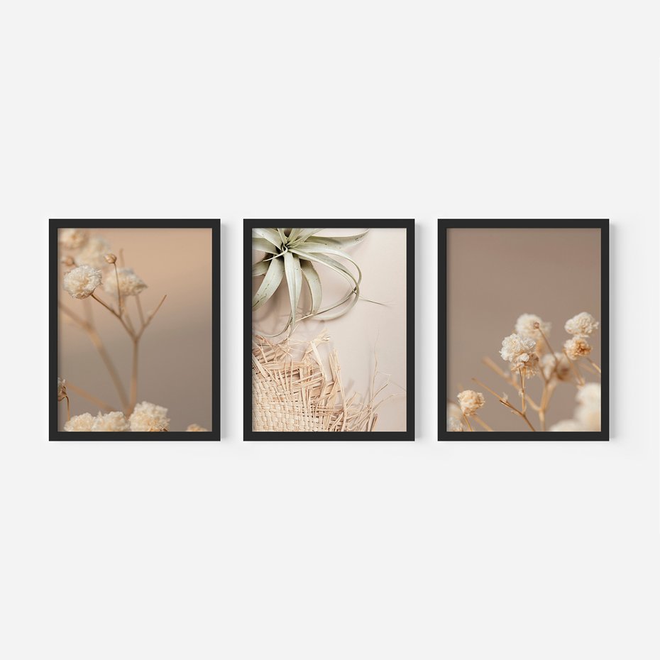 Zestaw obrazy w ramie, plakaty - kwiaty, roślina, suszone - rama czarna