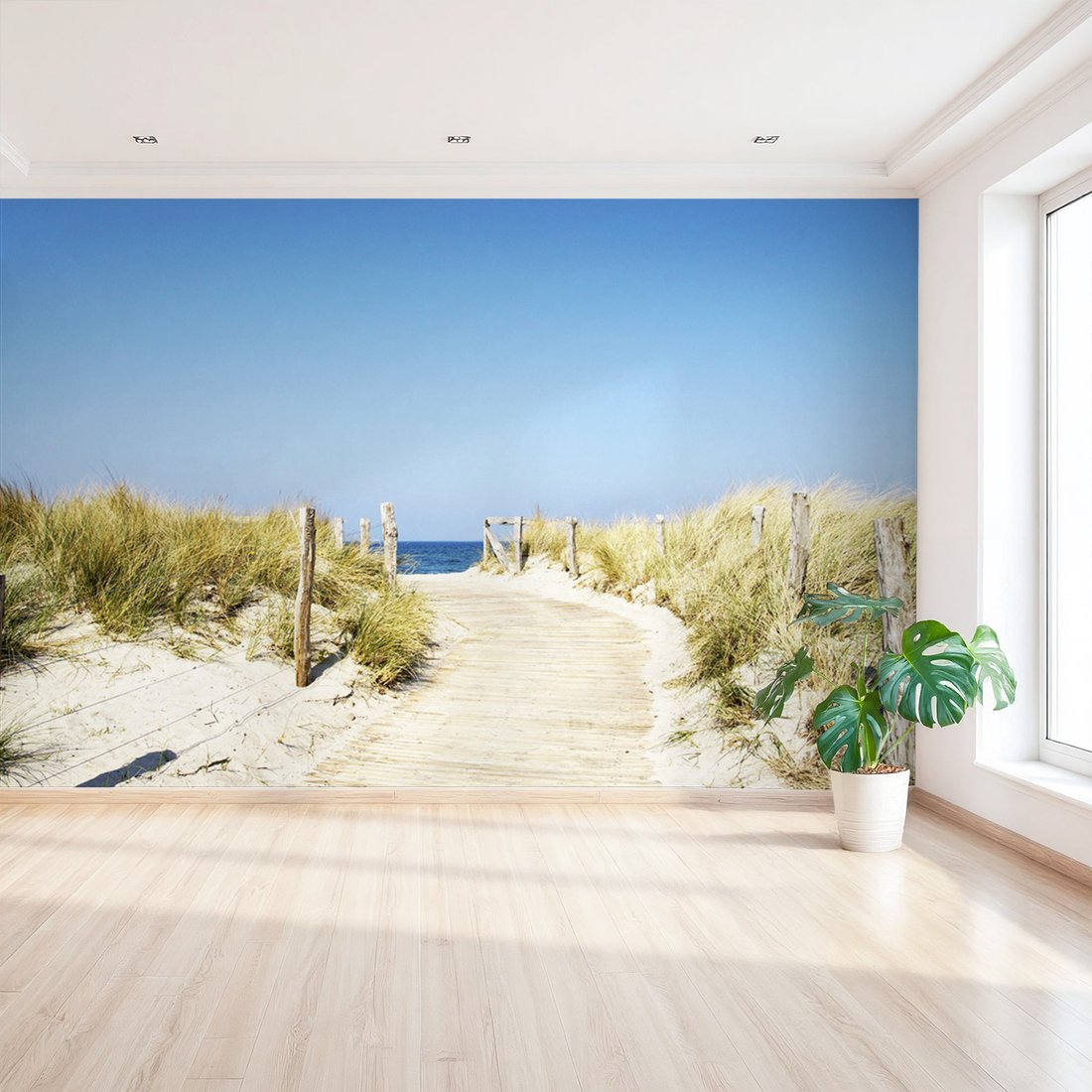 Fototapeta - plaża, morze, ścieżka