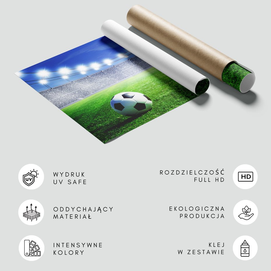 Fototapeta - piłka, stadion, trawa