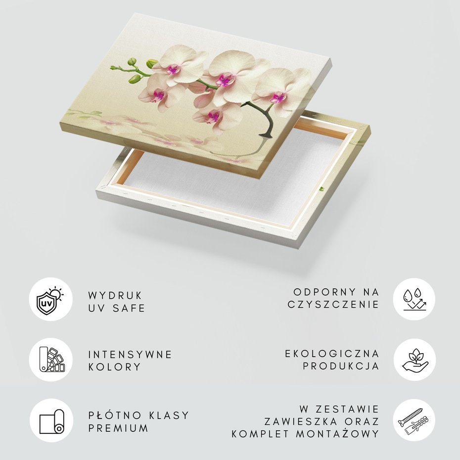 Obraz na płótnie - orchidee, kwiaty, elegancja